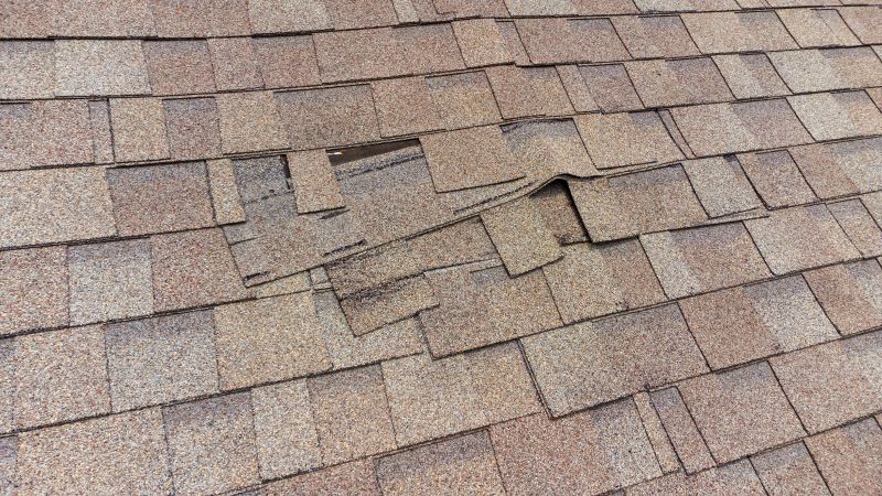 Shingle Damage Repair